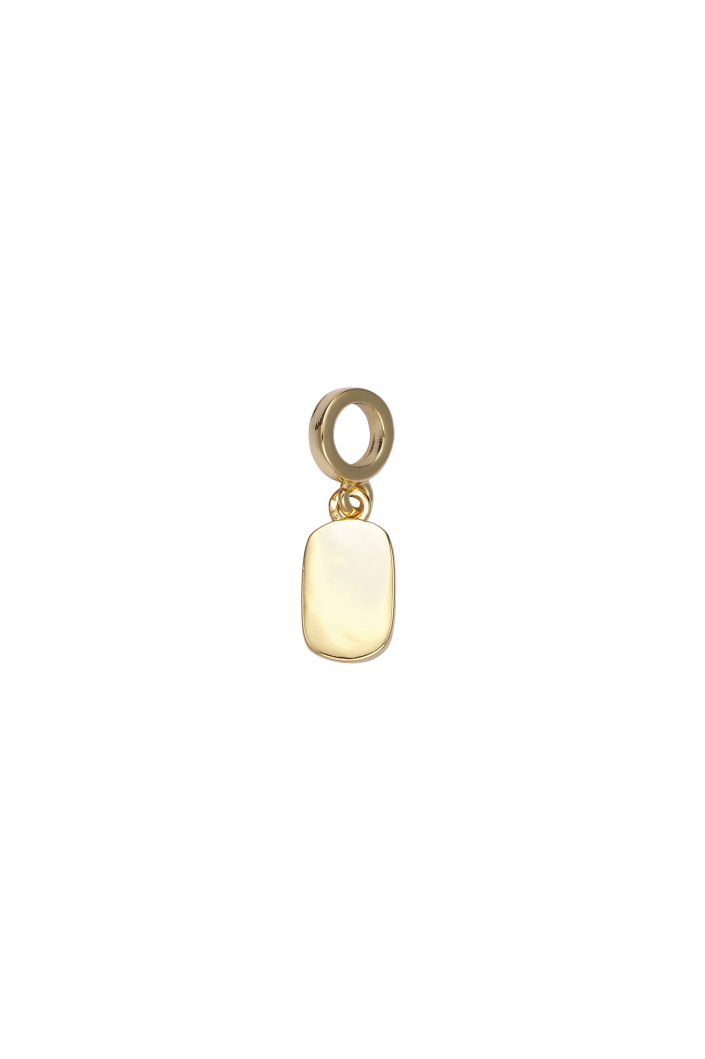 Bailed Tag Charm