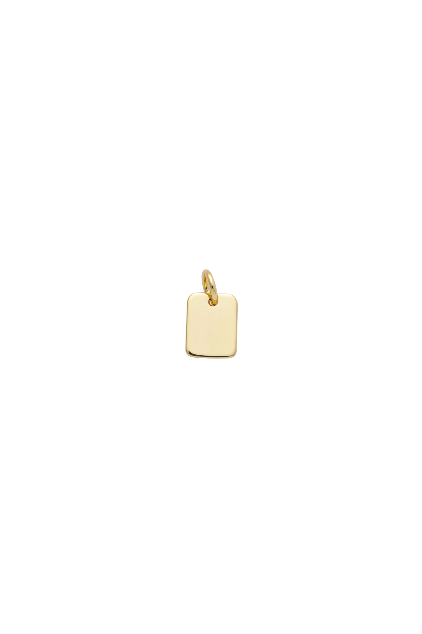 Tiny Tag Charm