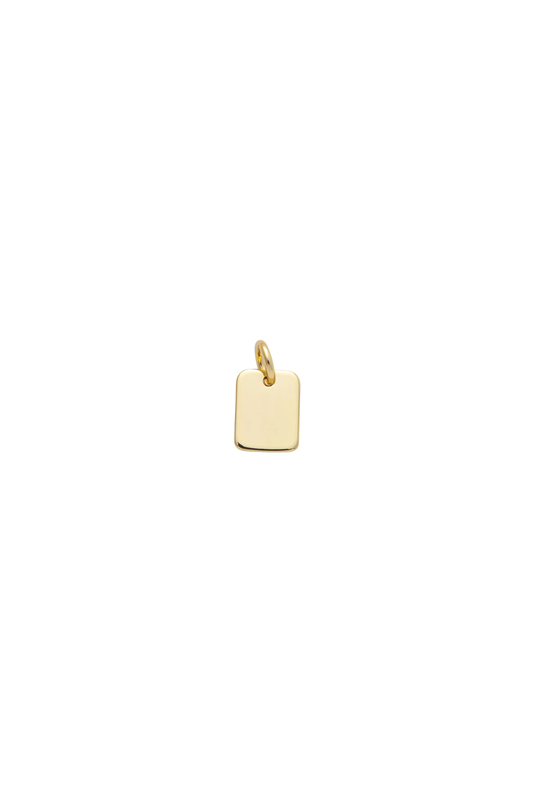 Tiny Tag Charm